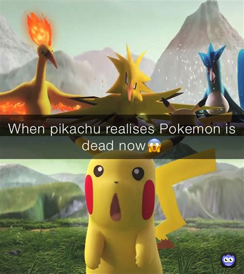 Pokemon Memes Pikachu