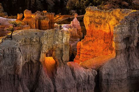 Bryce Canyon National Park Utah Usa Parks Mountains Crag