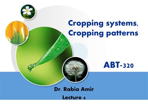 PPT - Cropping systems, Cropping patterns ABT-320 PowerPoint Presentation - ID:9183676