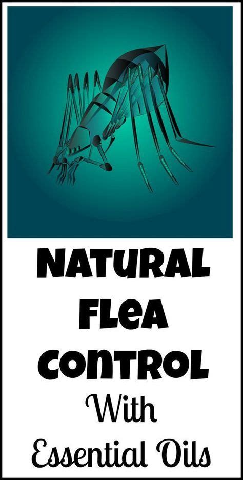 14 Natural Flea Control ideas | flea remedies, fleas, pet care