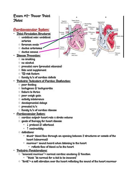 Peds Exam 2 Power Point Notes Exam 2 Power Point Notes