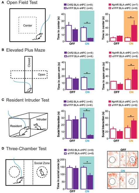 Projections From The Bla To The Vhpc Bidirectionally Modulate