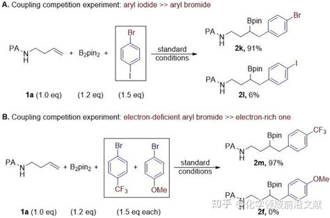 天津师范大学王超教授课题组org Lett：烯烃12 芳基硼化构筑含硼官能团的脂肪胺 知乎