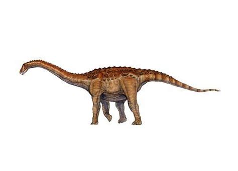 Aegyptosaurus | Dinosaur, Lizard, Animals