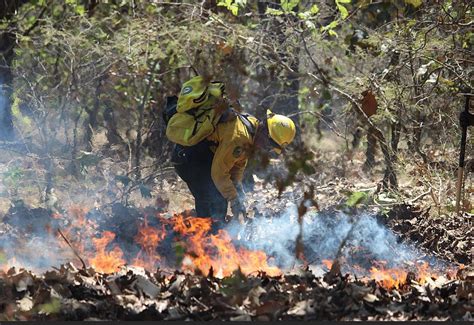 Jalisco Es Primer Lugar Nacional En Incendios Forestales Sobre