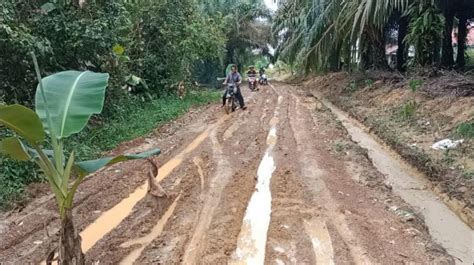 Jalan Rusak Tak Kunjung Diperbaiki Warga Tanami Pohon Pisang Radar