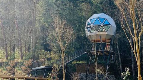 Prefab House Dome Ningbo Deepblue Smarthouse Co Ltd Tree