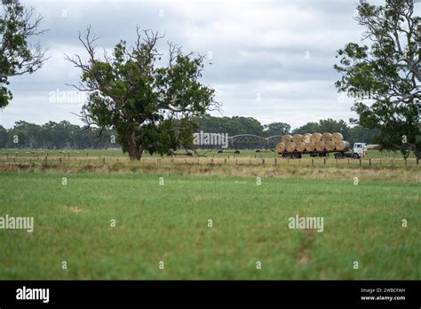 Loading Hay Bales On To A Truck In A Field In A Farm In Stock Photo Alamy