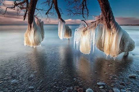 The 30 Most Amazing Photos Of Frozen Things In Honor Of The Coldest ...