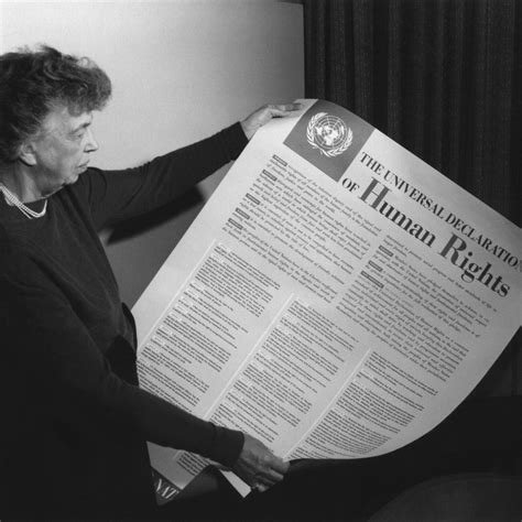 The UDHR At 75 The Right To Science At UNESCO CRASSH