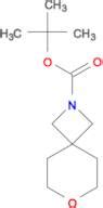 Tert Butyl Oxa Azaspiro Nonane Carboxylate