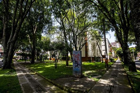 Los Colores Un Barrio Que Lucha Por Proteger Sus Zonas Verdes