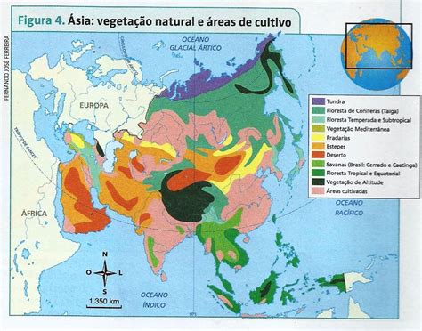 A Geografia como Protagonista Ásia Clima Vegetação e Relevo