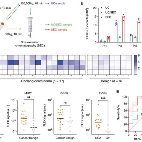 Profiling Of CCA Patient EVs With FLEX A EV Isolation From Human Bile