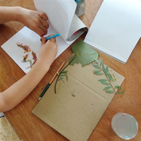 Fabriquer Un Herbier En Trois Tapes La Cabane Jouer