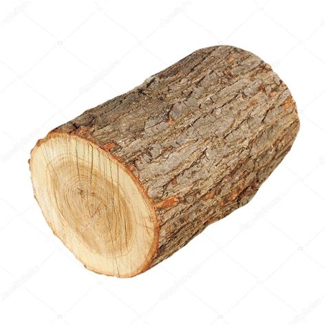 Oak Stump Log Fire Wood Isolated On White Background With Clipping