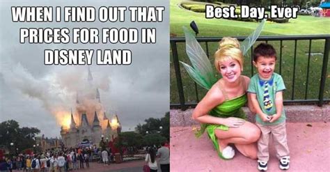 25 Memes That Pretty Much Sum Up Every Trip To Disneyland