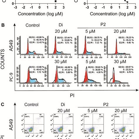 A Cell Cycle Analysis Of A549 And Pc9 Cells After Treated With Dip