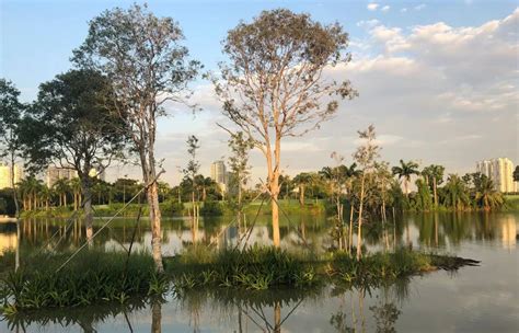 Jurong Lake Gardens Ramboll Studio Dreiseitl