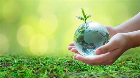 How To Be Environmentally Sustainable As Healthcare Professionals