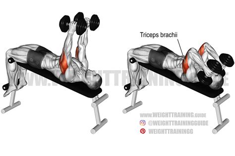 Lying Dumbbell Tricep Extension