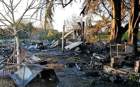 Des animaux périssent dans l incendie d un hangar agricole Le Télégramme