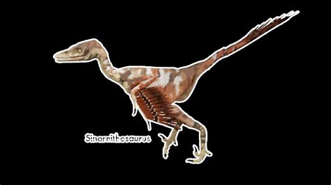 Sinornithosaurus Pictures & Facts - The Dinosaur Database