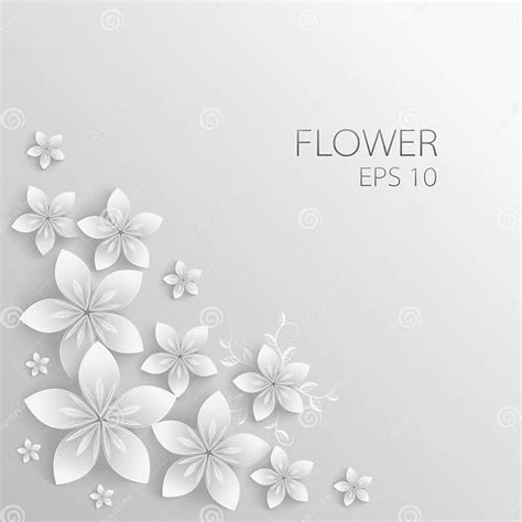 Vector White Paper Flowers Background Stock Vector Illustration Of Flowers Flower 108900628