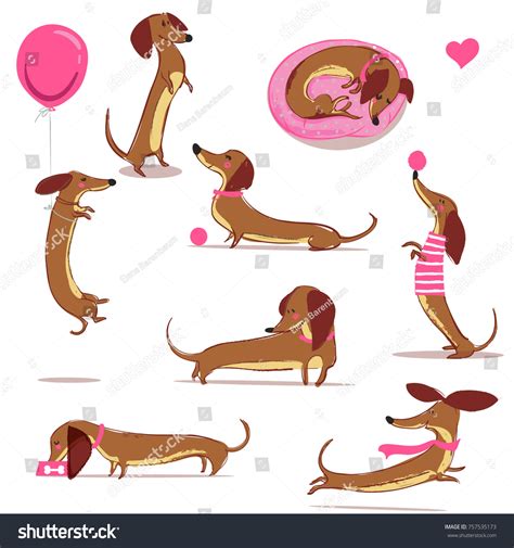 Set Cute Cartoon Dachshund Stock Vector Royalty Free