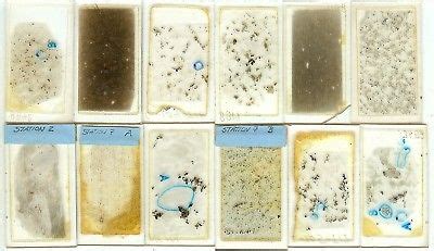 Collection of 12 Unknown Petrographic Microscope Slides -- Antique ...