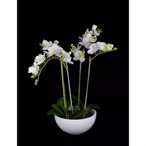 Composition Phalaenopsis Orchidee Artificielle Blanc En Pot Cm