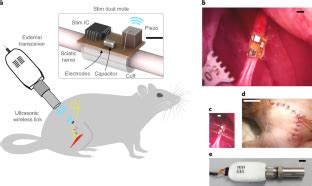 A Wireless Millimetre Scale Implantable Neural Stimulator With