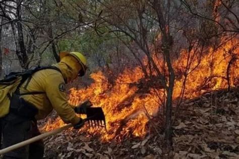 Chun Ek El Ejido De Campeche Más Afectado Por Incendios Forestales