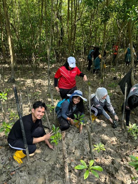 Upm Tanam Pokok Bakau Pulihara Ekosistem Paya Bakau