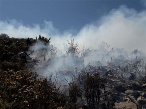 Arequipa Incendio Forestal Arrasa M S De Mil Hect Reas Y Causa Graves