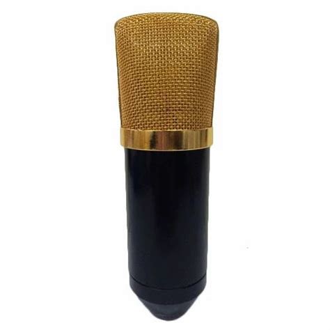 Singing Mike at best price in New Delhi by New National Electronics ...