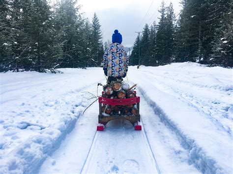 My 4 Year Old Wanted To Go Gather Firewood So We Did Pro Tip Child
