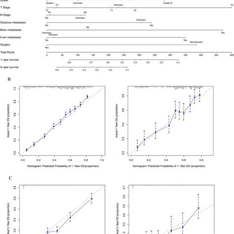 A Nomogram For Prediction Of And Year Os Rates Of Crc Patients