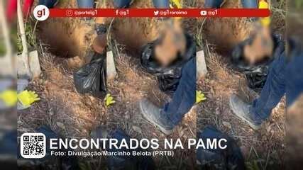 G Em Minuto Roraima Gatos S O Encontrados Mortos Na Maior