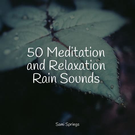 50 Loopable Rain Sounds For Sleep And Chilling Out Album By Raindrops