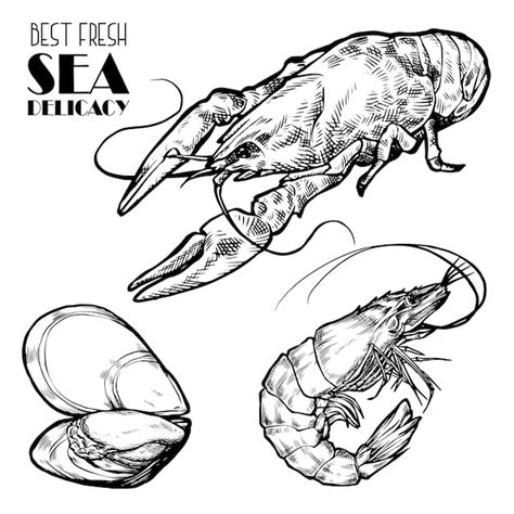 Premium Vector Hand Drawn Seafood Vector Illustration Crabs Lobsters