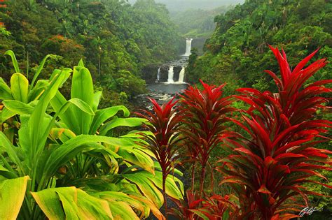 H038 Umauma Falls, Big Island, Hawaii | Randall J Hodges Photography