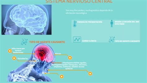 Infecciones Del Snc