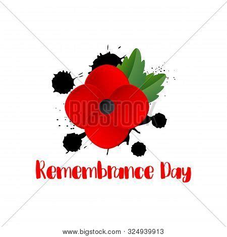 Remembrance Day Poppy Vector & Photo (Free Trial) | Bigstock