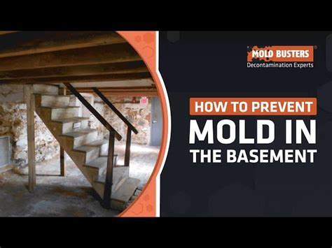 How To Mold Proof Your Basement Openbasement