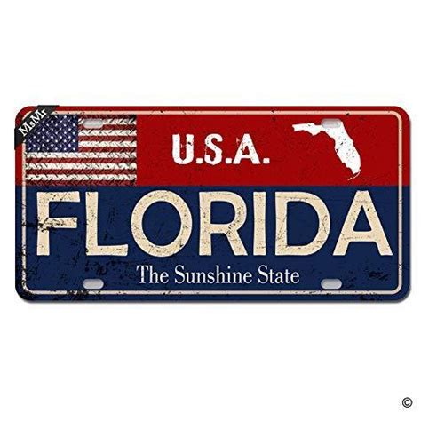 MsMr Personalized Custom State License Plate Florida License Plate ...