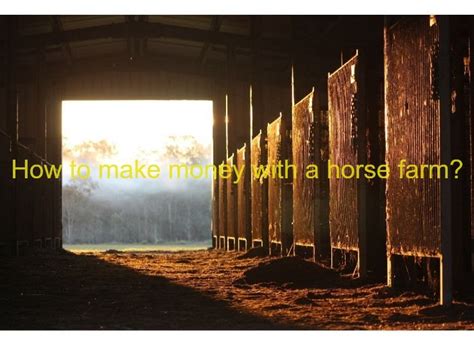 How To Make Money With A Horse Farm 10 Ways Animal Pedias