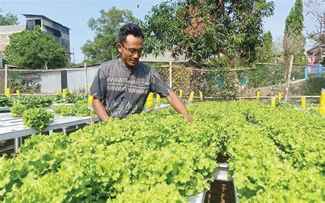 William Perdana Santoso Yakinkan Kaum Milenial Urban Farming Miliki