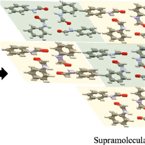 Tetramer Formed By Z And E Conformers Of Compound 7 Considered M1 And