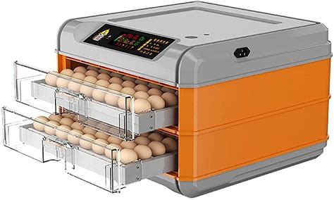 Buy YYSS Egg Incubator 48 Eggs Clear Digital Incubator With Fully